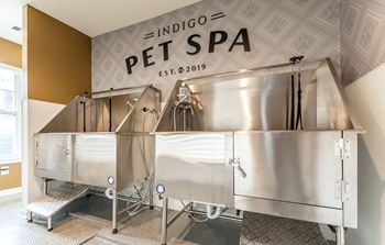 Pet spa area